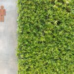 male toilet seat door near green grasses